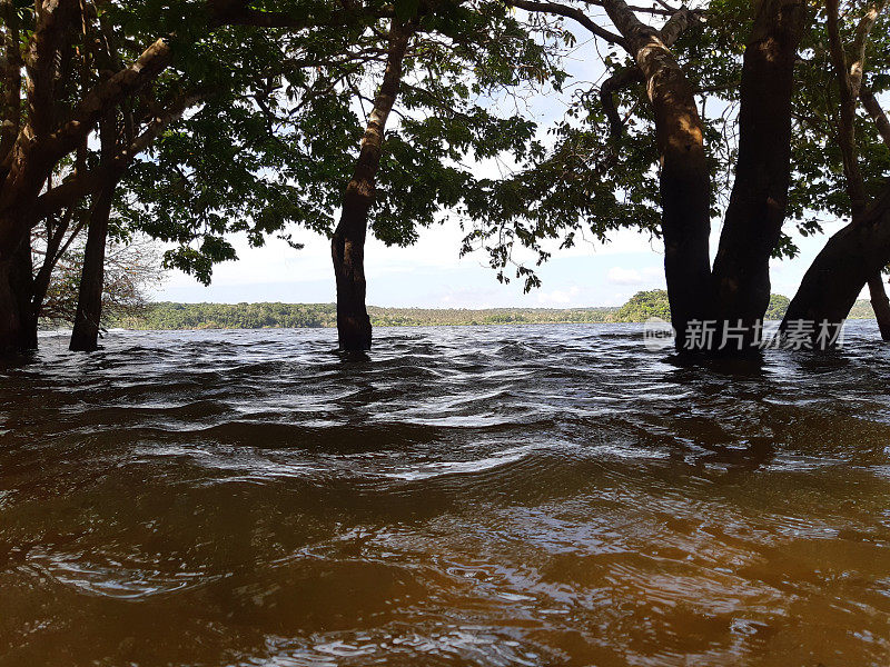 亚马逊地区- TAPAJOS - PARA